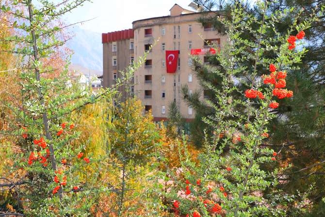 Hakkari'de sonbahar manzaraları (2020) galerisi resim 1