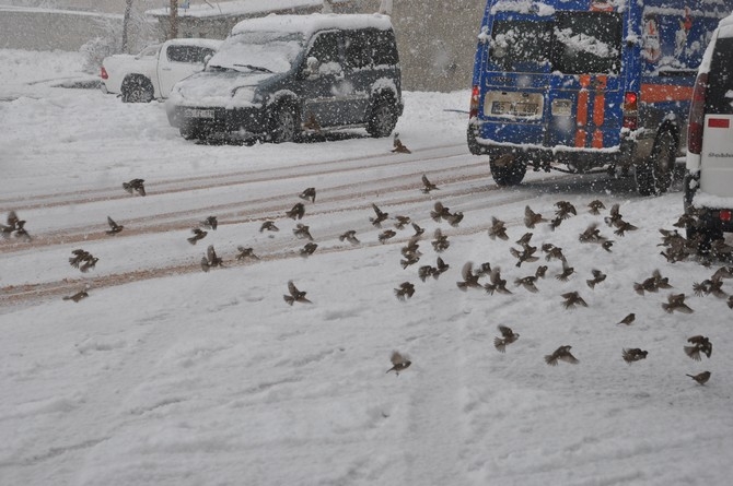 Yüksekova'da kar yağışı galerisi resim 2