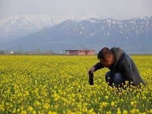 Yüksekova’daki çiçeklerden renk cümbüşü