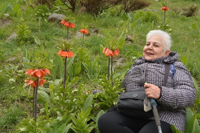 Turistler Ters lale bahçesine hayran kaldı galerisi resim 1