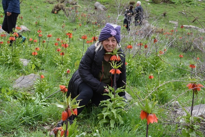 Turistler Ters lale bahçesine hayran kaldı galerisi resim 10