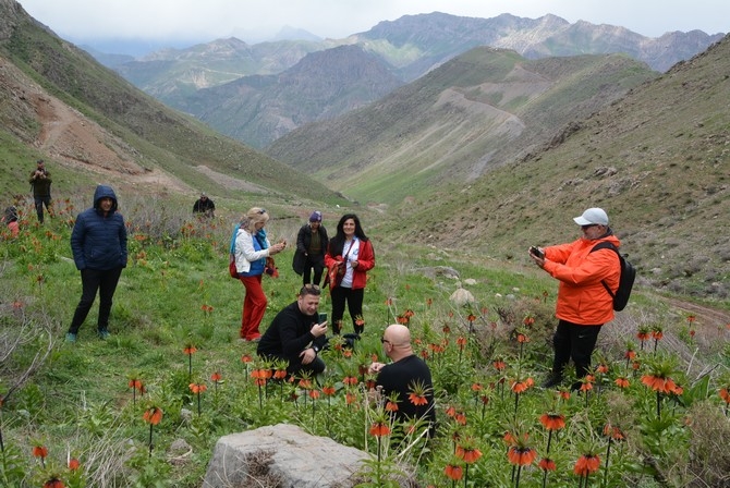 Turistler Ters lale bahçesine hayran kaldı galerisi resim 11