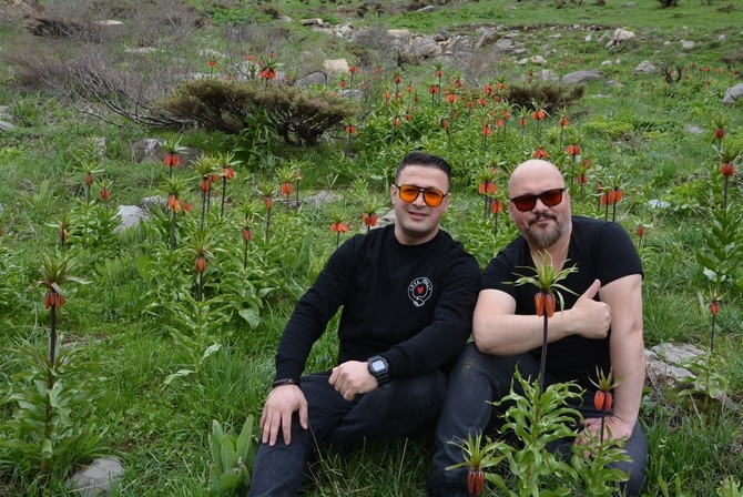 Turistler Ters lale bahçesine hayran kaldı galerisi resim 12