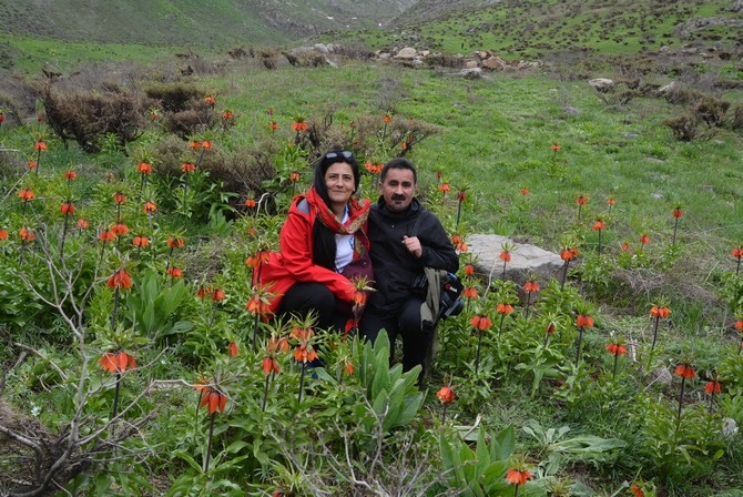 Turistler Ters lale bahçesine hayran kaldı galerisi resim 15