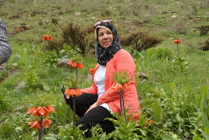 Turistler Ters lale bahçesine hayran kaldı galerisi resim 2