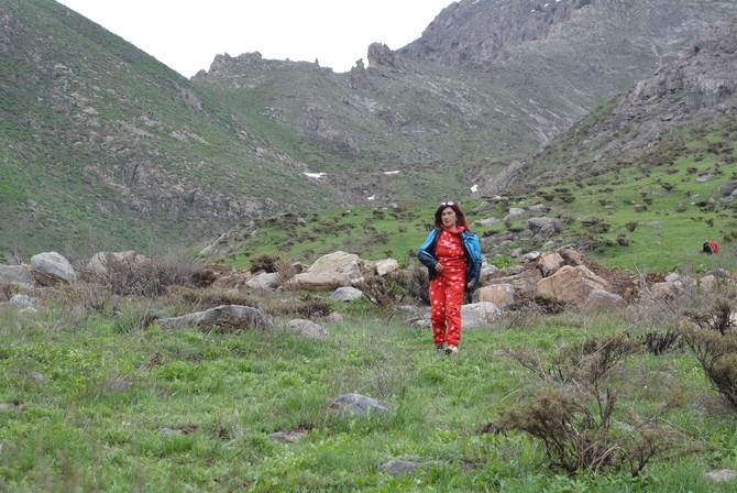 Turistler Ters lale bahçesine hayran kaldı galerisi resim 21