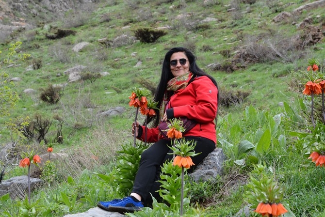 Turistler Ters lale bahçesine hayran kaldı galerisi resim 23