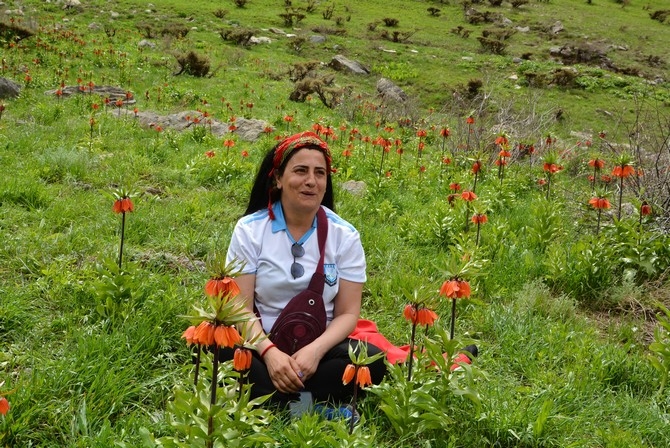 Turistler Ters lale bahçesine hayran kaldı galerisi resim 7