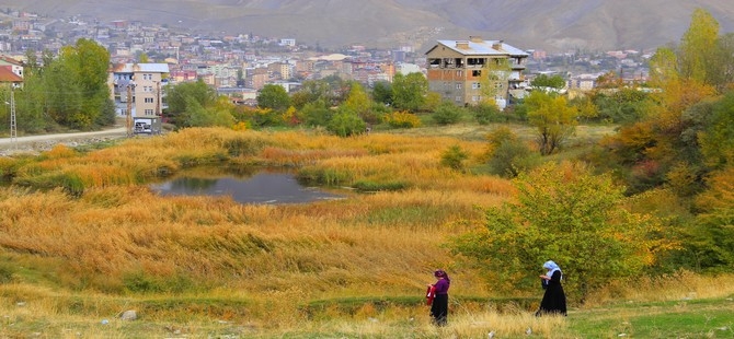 Hakkari'de sonbahar güzelliği galerisi resim 1