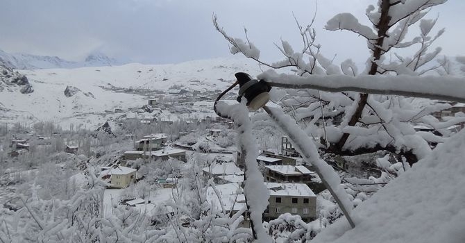 Hakkari’den kar manzaraları galerisi resim 1