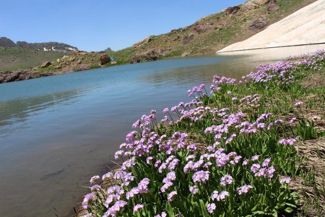 Hakkari’nin muhteşem doğa güzellikleri galerisi resim 1