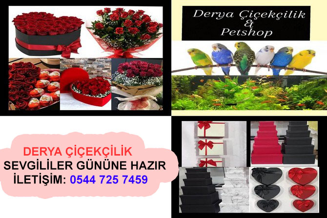 Derya Çiçekçilik sevgililer gününe hazır