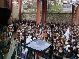 Hakkari HDP Newroz etkinliği video
