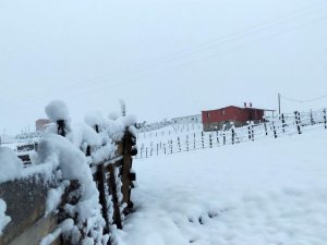 Gümüşhan'da yılın ilk karı yağdı
