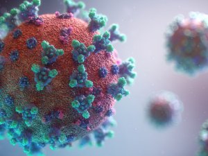 Korona virüsten 175 kişi hayatını kaybetti