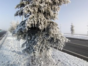 Şadırvanlar, ağaçları buz tuttu