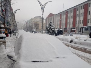 Hakkari'de kar yağışı etkisini sürdürüyor