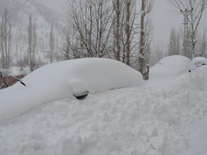Şırnak'ta ağaçlar kırıldı, araçlar karda kayboldu