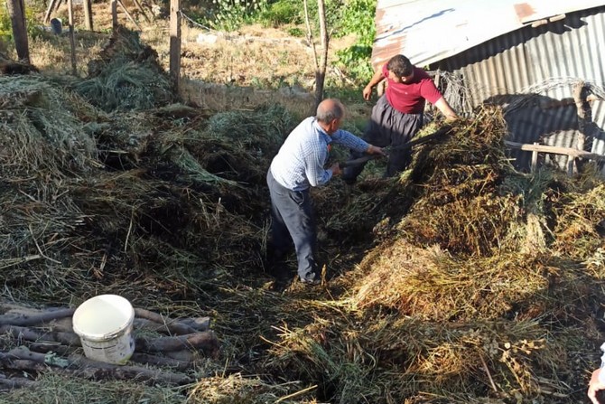 Hakkari Çimenli' de 700 ot bağı yandı