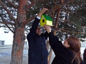 Yüksekova’daki 20 noktaya kuş evi bırakıldı