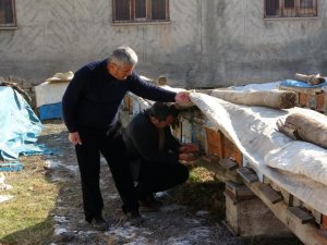 Yalancı bahar arıları vurdu