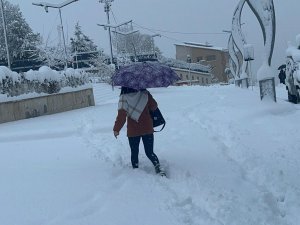 Hakkari'de 365 yerleşim yolu ulaşıma kapandı