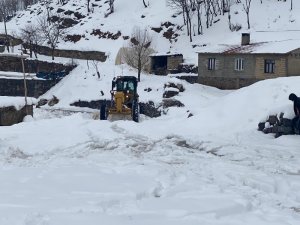 Beytüşşebap'ta kar kalınlığı 1 metreye ulaştı