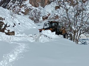 Hakkari'de 61 köy ve mezra yolu kapandı