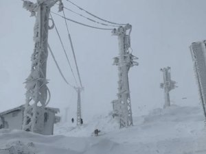 Soğuklarda, elektrik direkleri buz tuttu