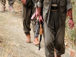 PKK, 1 muhtar 5 korucuyu kaçırdı