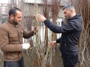 Meyve fidanları da görücüye çıktı