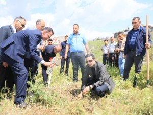 Hakkari'de "Dünya Tütünsüz Günü'nde fidan dikildi