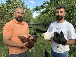 4 öğretmen bin 200 tavuklu çiftlik kurdu