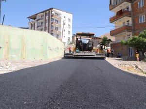 Hakkari'de asfalt çalışmaları hızlandı