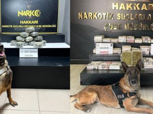 Hakkari'de 24 kilo 60 uyuşturucu ele geçirildi