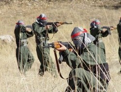 PKK Şemdinli'de yol kesti
