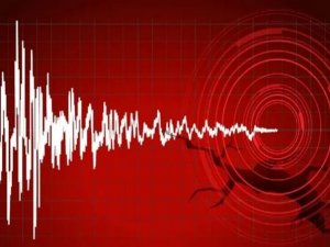 Yüksekova'daki deprem Hakkari'de his edildi