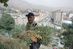 ORAKLA 19 KİŞİNİN GEÇİMİNİ SAĞLIYOR