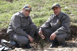HAKKARİ`DE HALAYLI AĞAÇ BAYRAMI