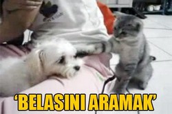 BELASINI ARAMAK BUNA DENİR
