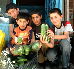 ÜZÜMCÜ SALATALIĞI PİYASAYA ÇIKTI