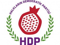 HDP Erciş İlçe Eş Başkanı tutuklandı