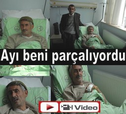 AYI SALDIRISI HASTANELİK ETTİ