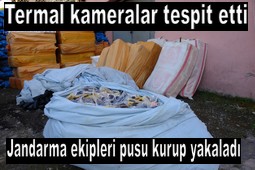 ÇUKURCA`DA 2600 GÖZLÜK ELE GEÇİRİLDİ
