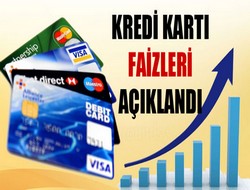 Kredi kartı faizleri 2014