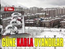 Mart'ta Erzurum'a kar yağdı