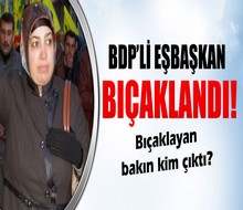 BDP Belediye Eşbaşkanı'na bıçaklı saldırı