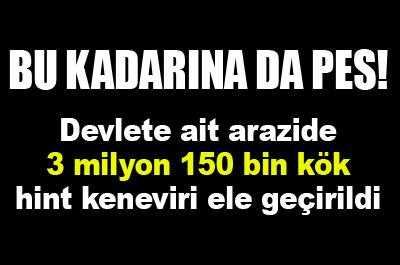 PES DOĞRUSU DEVLET BUNU YAPARSA...