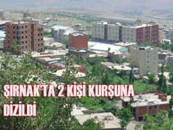 ŞIRNAKTA 2 KİŞİ ÖLDÜRÜLDÜ