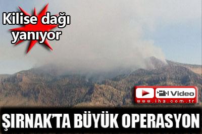 DOĞUDAKİ ORMANLAR YOK EDİLİYOR